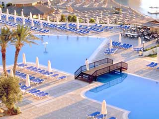 Paradise Royal Mare